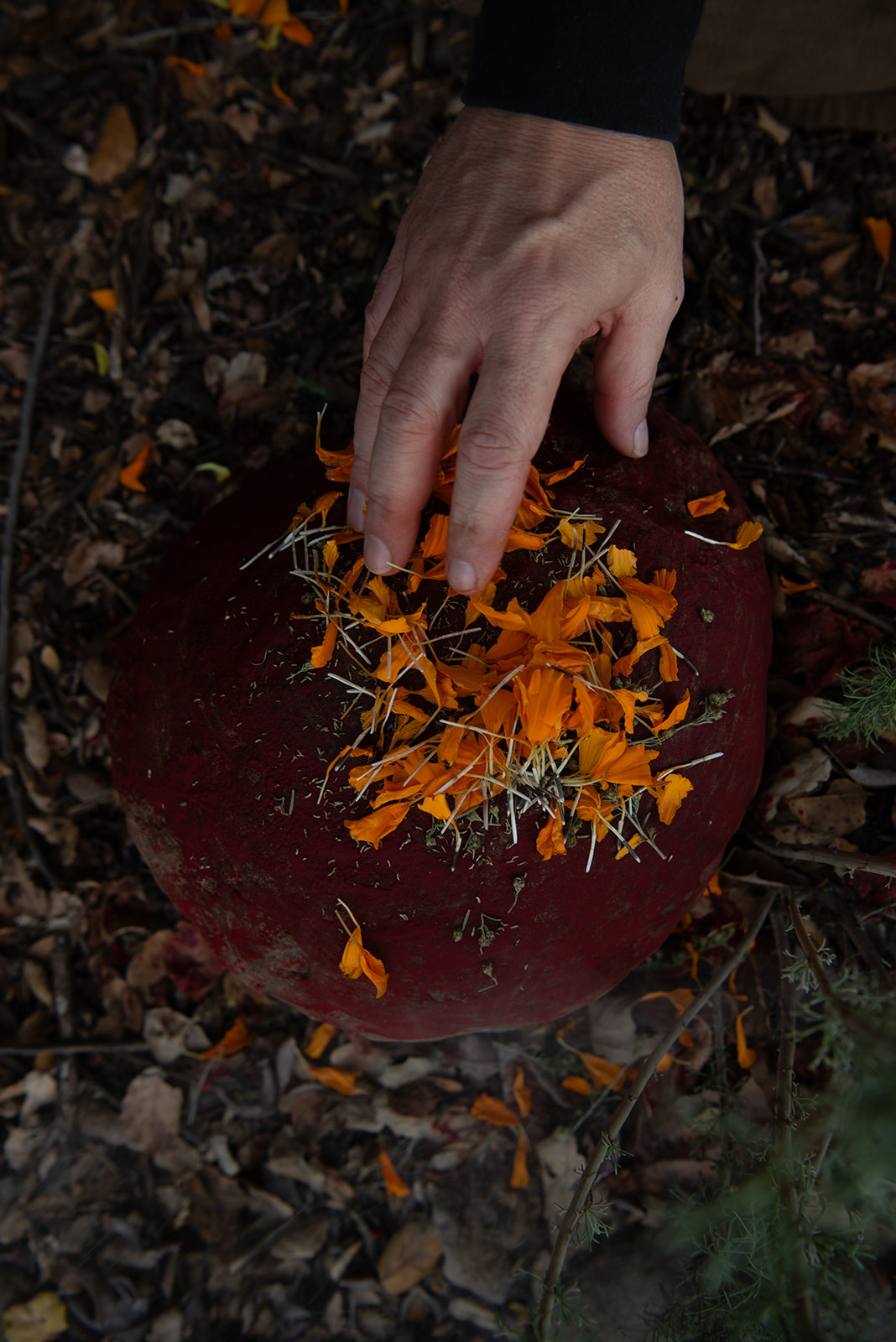 Harshada placing orange flower petals on a red clay vessel
